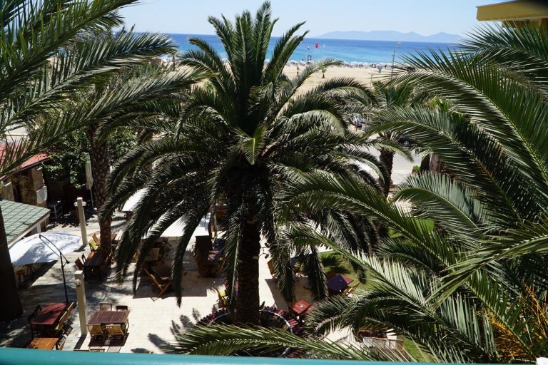 Varol Otel palmiyeli bahçe